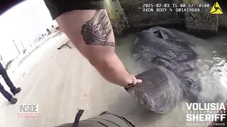 Deputy Frees Ocean Sunfish That Got Stuck in Shallow Water.