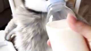 The Cutest Milk Party Ever!