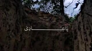 Al Quran aesthetics