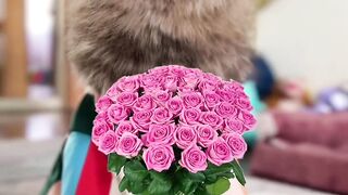 Подпишись и смотри продолжение!????????  #кот #милыеживотные #котик #питомцы #кошки