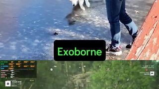 Funny Pets