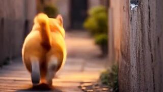 Oh My Cat