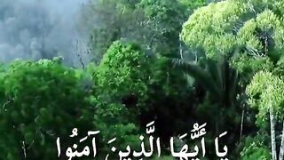ألا بذكر اللَّه تطمئن القلوب