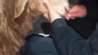 Hjkvv