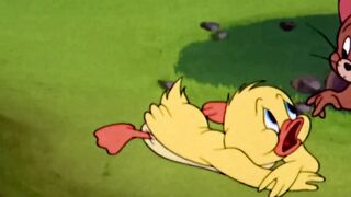 Swimming lessons for little Quackers_ shorts _tomandjerry
