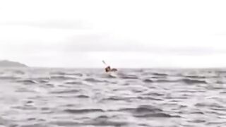 lucky escape....???? ???? ????