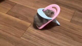 So cute ????????