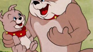 The Facts of Life _shorts _tomandjerry _ _wbkids(1080P_HD).mp4