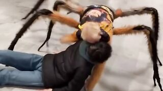 Wonderful ai video