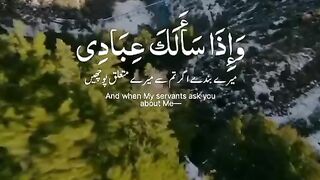 Alquran aesthetics