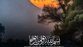 Alquran aesthetics