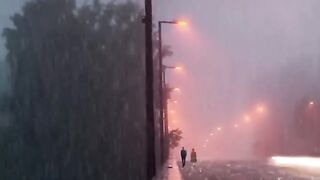 Amazon Rainforest. #science #sciencefacts #space.mp4