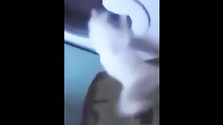 اضحك من قلبك