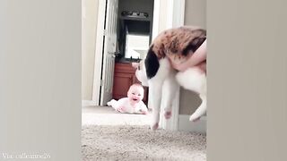 When your cat become a special friend ????❤️????Cute Cats and Human