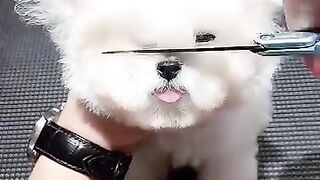 It looks beautiful with this cut