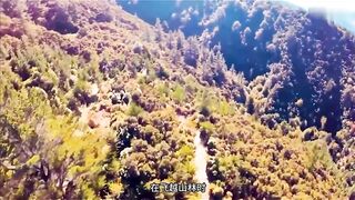 What Happens When WILD Animals See a Drone Part 3
