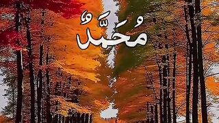 Beautiful Names of*Muhammad* pbuh