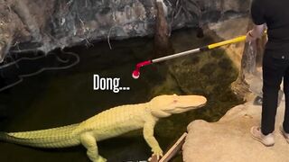 Sayang Garukin PUNGGUNG Abang Dong!?