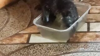 Bejo Drinking Water is made for bathing