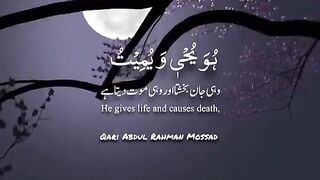 Alquran aesthetics