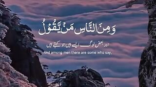 Alquran aesthetics