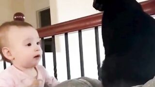 Cats are the best solution for annoying sister's kids.