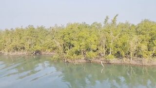 Sunderban