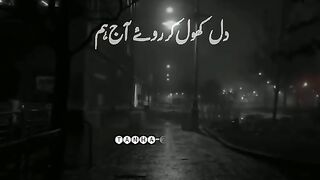 Hal_E_Dil