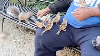 Birds and animals are friends if Trust him