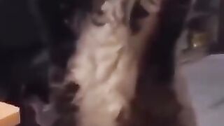 You laugh you lose