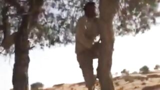Funny video