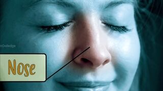 Most Amazing Facts and Things You Didn't Know About Human