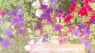 Enjoy