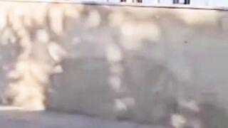 Funny video