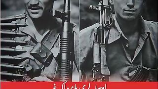 Pathans