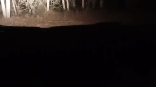 Car driving in horror Area