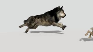 Animation video