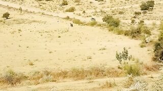 Racing jeep