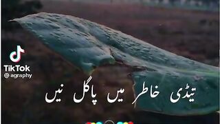 lovelypoetry#sraiki poetry#sadpoetry#sadsong#sadvideo#
