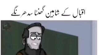 Haha Asad Sam Zaid