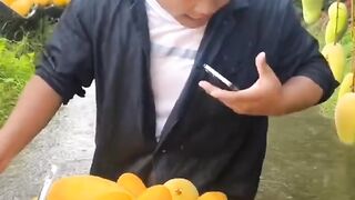 Fruits video