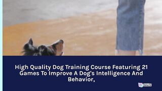 How i train my dog effectively with this key tricks