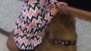 Cute Moment of Babies with Pets  | Cute funny things with Baby | Funny animal video....