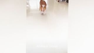 Laugh until you cry with these funny animals ????