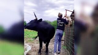 Funny ANIMALS videos ???? Funniest CATS???? and DOGS???? 2024