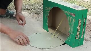 Bird trap