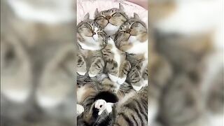 cute&funny