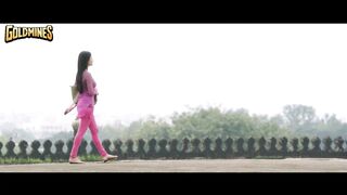 अल्लू अर्जुन श्रुति हासन