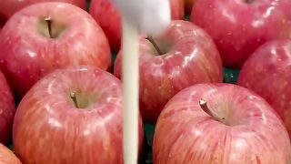Candy Apple Japanese