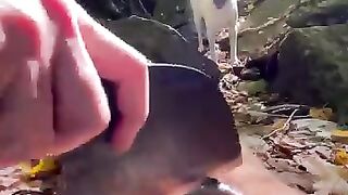 Cooking fish in the forest